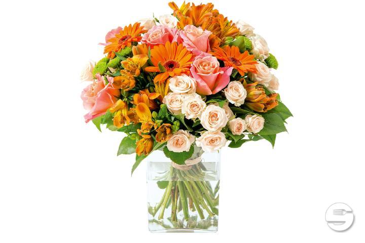 Cheerful - Thalie Fleurs