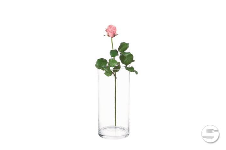 Pink Rose - Thalie Fleurs