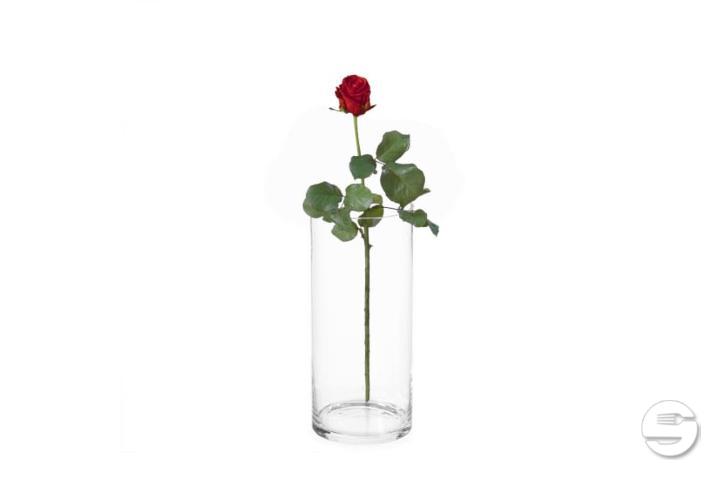 Red Rose - Thalie Fleurs