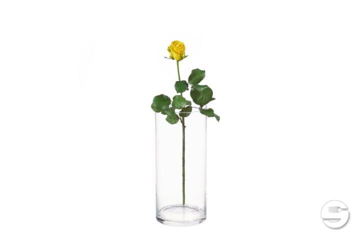 Yellow Rose - Thalie Fleurs