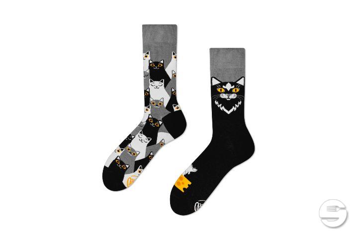 Black Cat - Thalie Fleurs