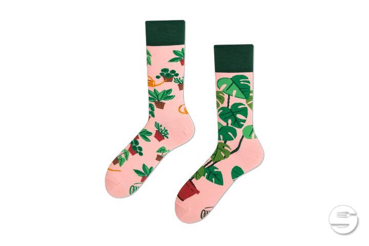 Plant Lover - Thalie Fleurs