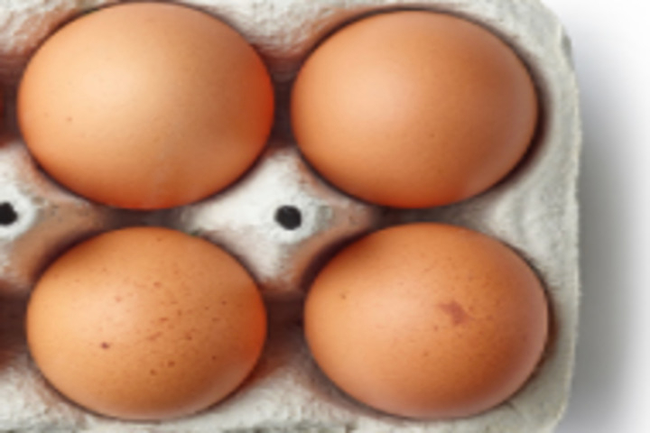 Eier 10er Pack - Hofladen Weller