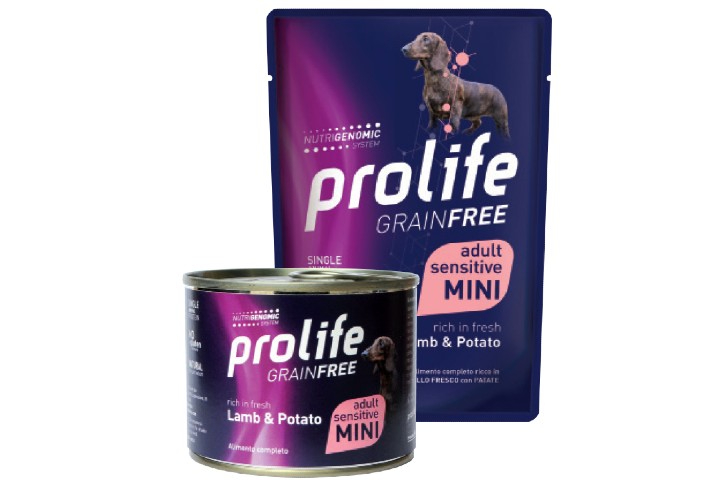 Prolife puppy sensitive hotsell mini lamb & rice