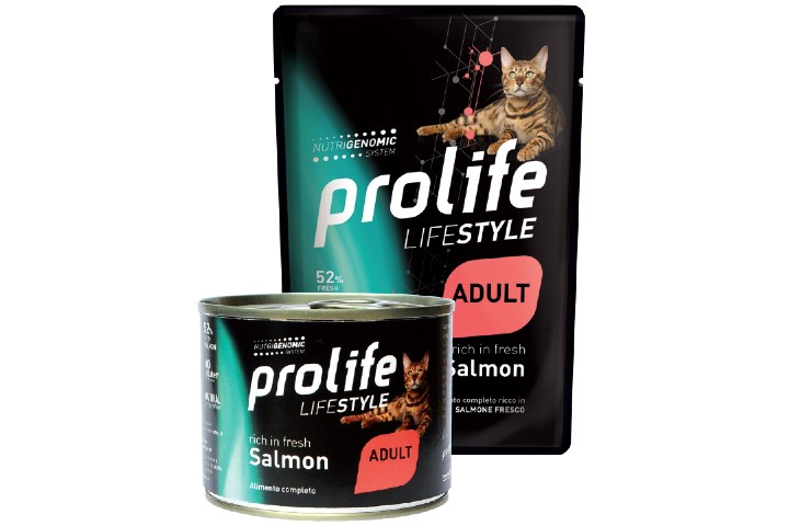 Salmon & Rice LifeStyle - L'arca degli animali