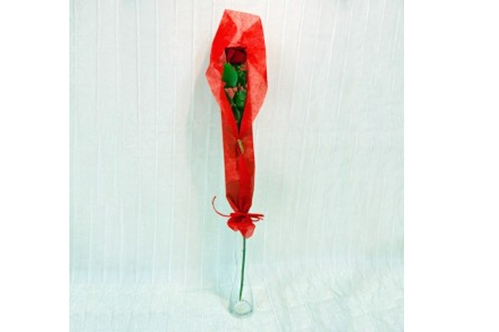 1 Rose Rossa Deluxe - Fiorista Della Santa