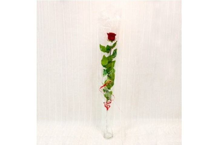 Red Rose - Fiorista Della Santa