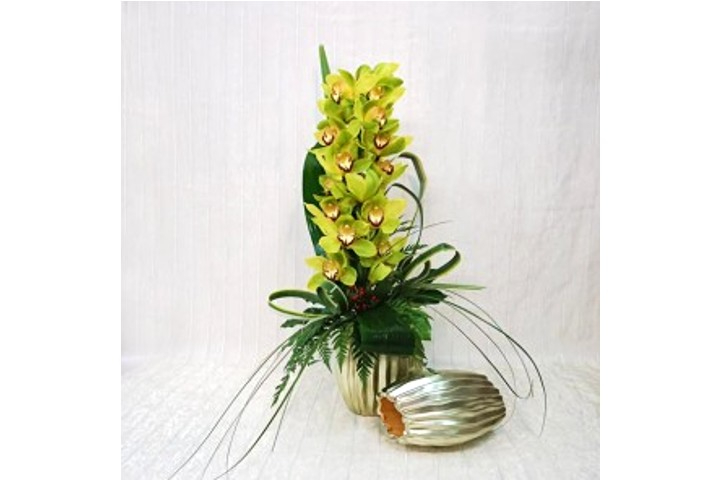 Orchidea Cymbidium Recisa - Fiorista Della Santa