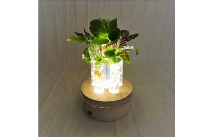Happiness Special con luce LED - Fiorista Della Santa
