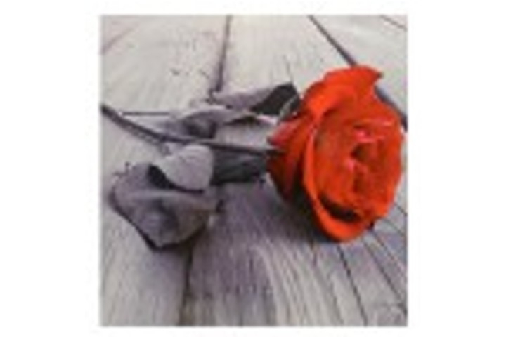 Amore/ Affetto - Fiorista Della Santa
