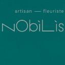 Logo Nobilis