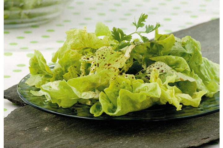 Salade Verte - Auberge Communale d’Etoy