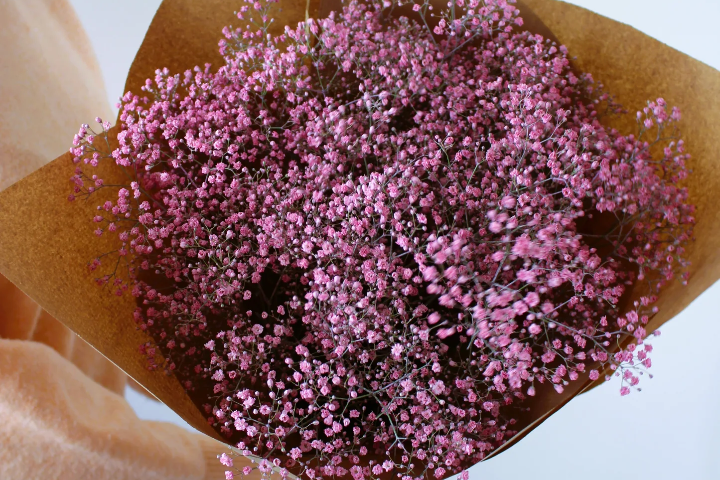 Bouquet de gypsophile 