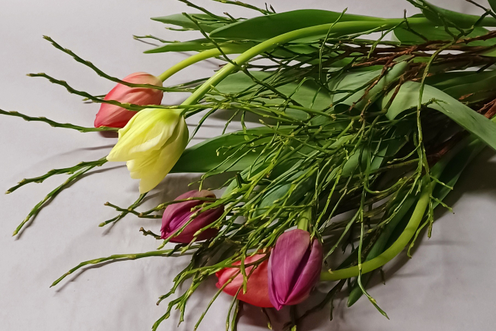 Bouquet de tulipes avec verdures - Déco'Nad