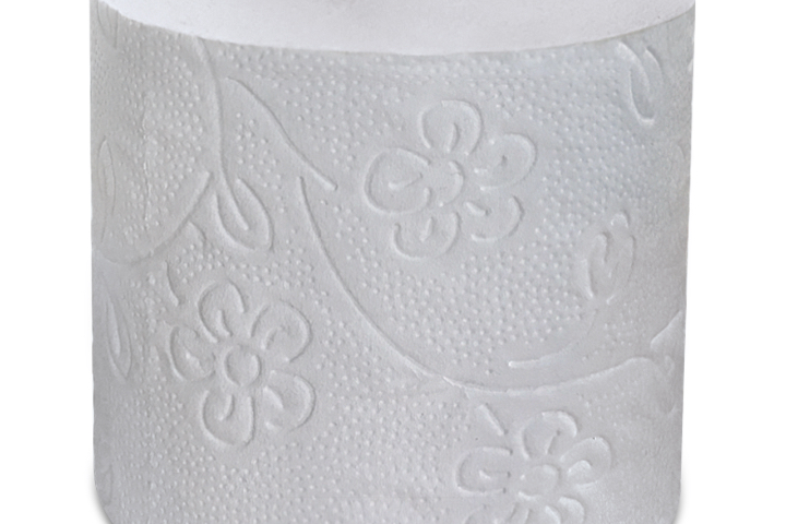 Papier toilette 🧻 