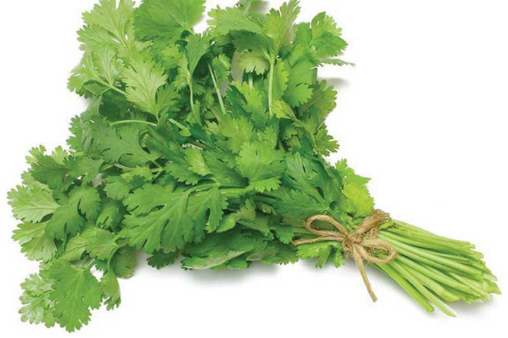 Coriander  - 30g