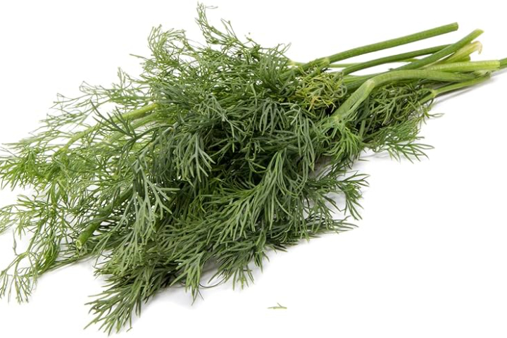 Dill - 30g