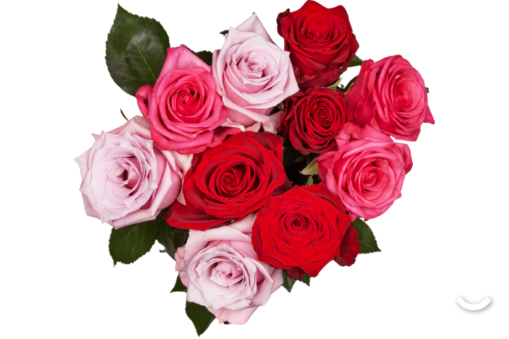 Roses Romantiques Rose et Rose Foncé