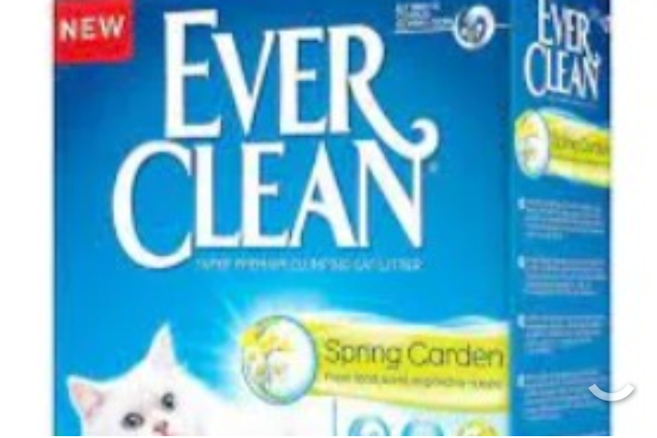 Ever clean spring garden