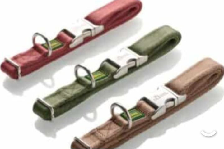 Collier hunter inari "Beige" option laisse toute taille