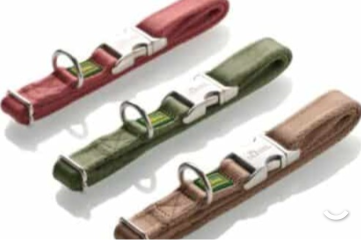 Collier hunter inari "Vert" option laisse toute taille 