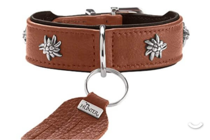 Collier hunter edelweiss option laisse toute taille