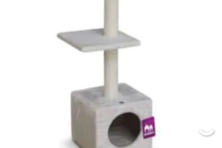 PETREBELS Cheap Bastards Boston 90