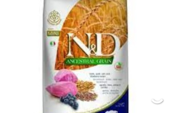 Farmina Pumpkin puppy mini agneau