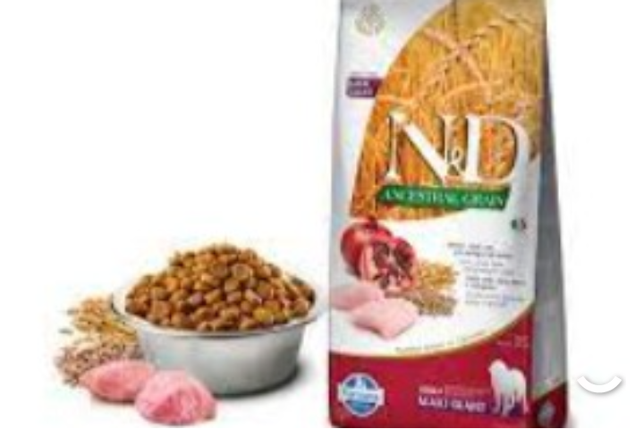 Farmina Chien Ancestral Grain med max poulet