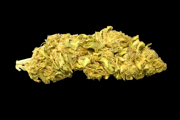 Pineapple Express Outdoor