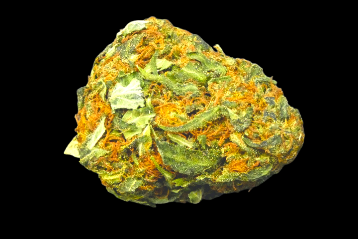 Aphrodisia Haze Indoor