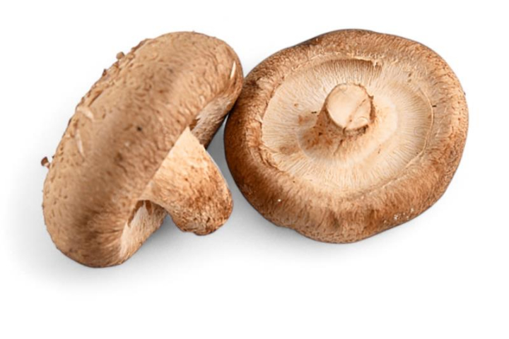 Shitake barquette de 250gr